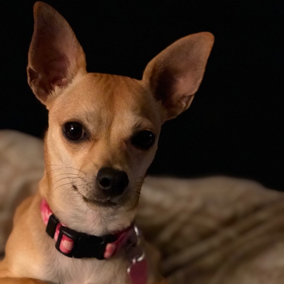 Meet your Posher, Michelle - Picture 1 of 1